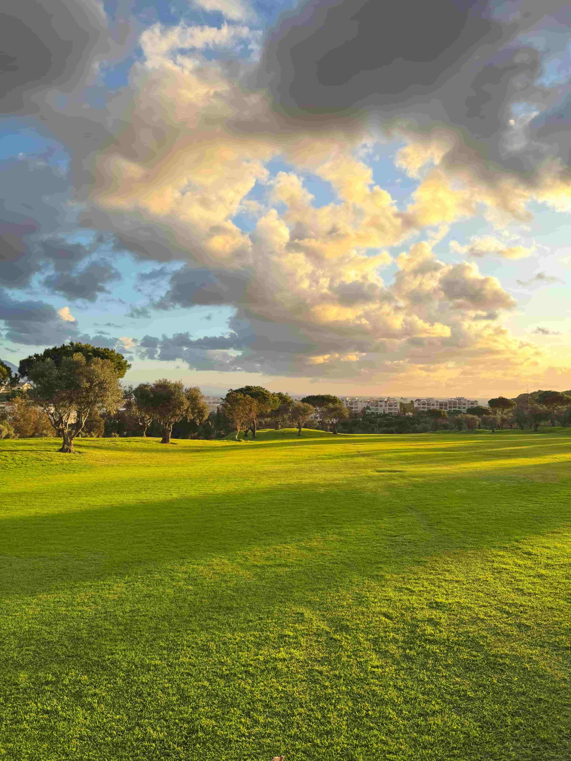 C8-Valley-Views-Mijas-Cerrado del aguila-golf