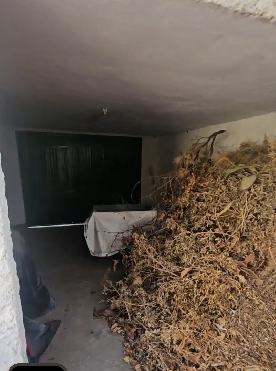 Screenshot_20251114-165059~2